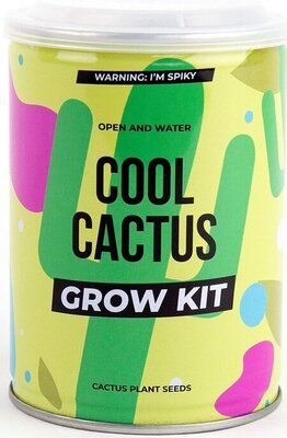 Cactus grow kit Gift republic